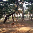 조경만 농장 이미지