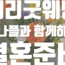 플레타플레르 이미지