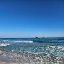 팔옥횟집 | 여행 경포대 | 차현희순두부청국장 | 강릉닭강정 | 강원옥찹쌀떡 | 중앙시장 지하어시장 | 교동장칼국수