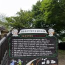 금호목장2 | 전남 화순 아이랑 가볼만한곳, 양, 토끼 먹이체험이 가능한 무등산양떼목장