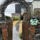 제주화 | 대가족 숙소로 딱 좋은 제주화 다녀온 후기