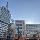 정동길권약국 | 정동길 권약국 약 종류 많은곳