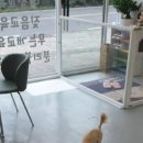 해피독쌤 이미지