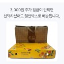 [마감]단독콘서트기념! 제주제철소 레드향/ 한라봉 공구시작 이미지