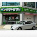 일곡동물병원 이미지