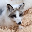 전주동물원 이미지