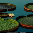 향기있는풍경 이미지