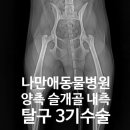 나만 애 동물병원 이미지