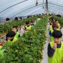 용인대 예당 태권도장 이미지