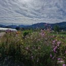 신호보건진료소 이미지