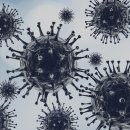 온양중앙초등학교 이미지