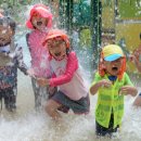 거창백두대간생태교육장 이미지