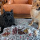 용인시기흥노인복지관 장수하개 이미지