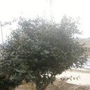 민기농장 이미지