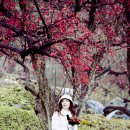 푸른상회 이미지