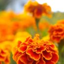 힐링세탁소 이미지