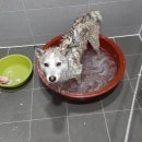 연곡현대약국 이미지