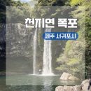 장성호관광지 야외공연장 화장실 | 제주도 서귀포 가족 여행 관광명소 가볼만한 곳ㅣ천지연 폭포