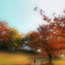 마음다짐 이미지