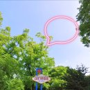 일동라스베가스 공원 이미지