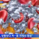 코로나 혈전주사 맞지 않는 사람들 이미지