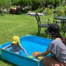 완두콩가족펜션 이미지