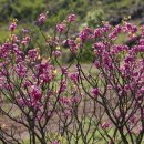 선화 에너지 이미지