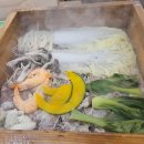 사(4)층약국 이미지