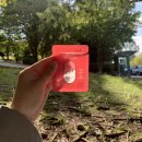 씨엘아이 | 글램디 4주 간헐적 식단으로 다이어트 하기! 5kg 감량 성공! 솔직후기 광고X👍💪😍(Feat 꿀팁+장단점 비교)