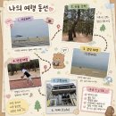 강릉여행 4탄 경포해변에서 출발 강문해변거쳐 안목해변까지 걸어간 후기 &amp; 에이엠브레드앤커피 방문기
