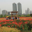 상동호수공원 이미지