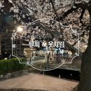 (주)지온메디텍 신사점 | 2026년 일본 오사카, 교토 벚꽃 개화 만개 시기 축제 시즌, 3월, 4월, 5월 날씨 예보, 옷차림