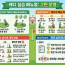 그린(Putting Green) 기본 개념 및 핵심 목적 이미지