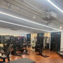 드라코짐 이미지