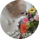 행복한 정원 | 광명안양안산,청년상상스테이션 행복한 정원 디자인 &amp; 독서원예 힐링 클래스 10회기,마지막 이야기