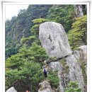 기수련원 - 제주시 신산로4길 32 | 조령산 등산 후기