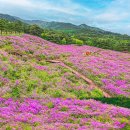 지리산허브벨리 이미지