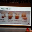 먹세포차 이미지