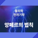 앙페르 이미지