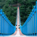 섬강자전거길(섬강살리기) | [강원도 가볼만한 곳] 원주 소금산 출렁다리