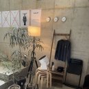벙크오프