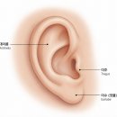 신사-111 | 귀필러 부작용 후기 걱정 신사 하이미에서 해결하세요