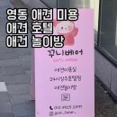 꾸니베어 | 영동 애견미용 추천｜영동 애견호텔까지 가능한 꾸니베어 솔직후기