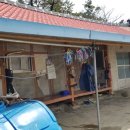 다섯 개의 섬 이미지