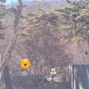 인생샷없음 이미지