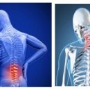 허리나 연구소 이미지