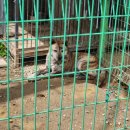 판장횟집 이미지