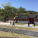 수원-1839 이미지