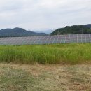 강변 태양광발전소 이미지