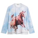 [11/03] SNS 온라인마케팅 이미지